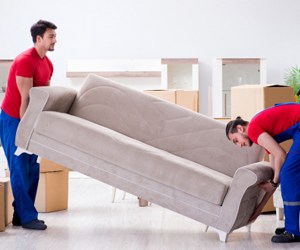 Packers and Movers in new tharugupet